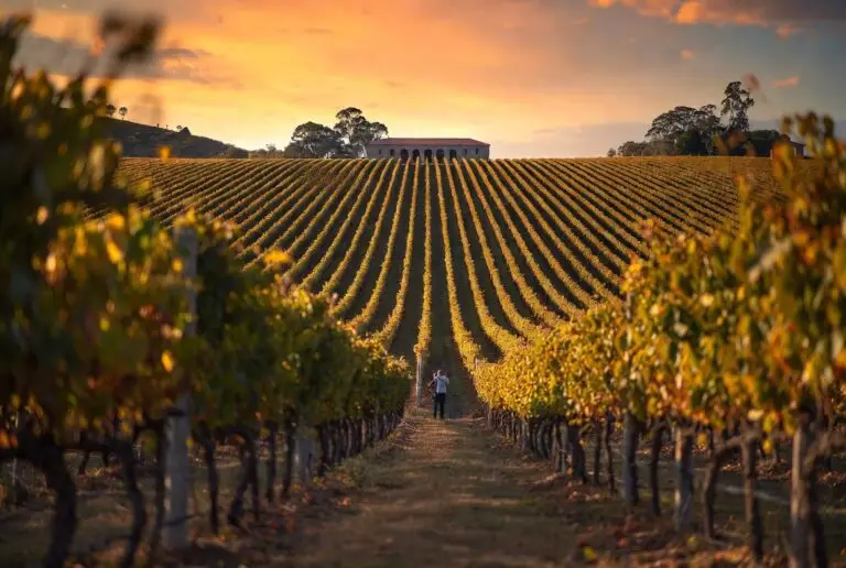 Roteiro Serra Gaúcha 3 dias: Paisagem do Vale dos Vinhedos com casal visitando vinícola.