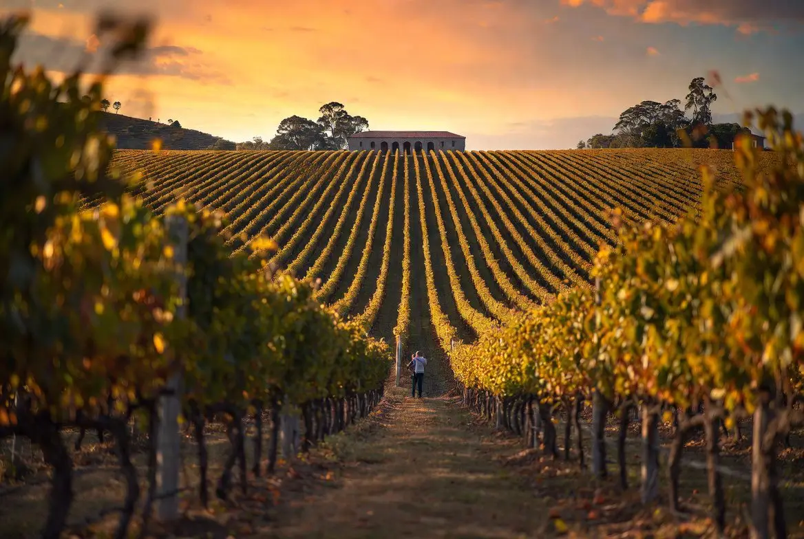 Roteiro Serra Gaúcha 3 dias: Paisagem do Vale dos Vinhedos com casal visitando vinícola.