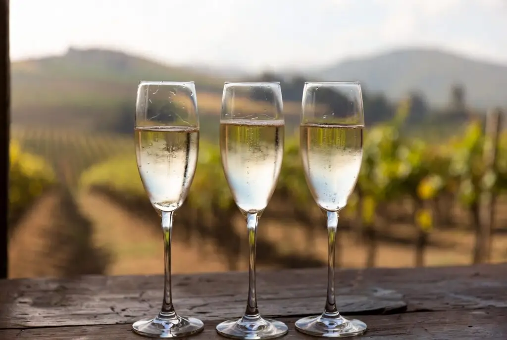 Taças de espumantes brasileiros brut com bolhas delicadas e vinícola brasileira ao fundo