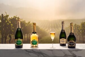 Melhores Espumantes Brut Nacionais: Seleção de garrafas premiadas para celebrações e custo-benefício.