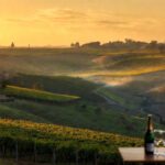 Enoturismo no Brasil: Vista panorâmica dos vinhedos no Vale dos Vinhedos, Serra Gaúcha.