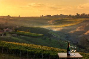 Enoturismo no Brasil: Vista panorâmica dos vinhedos no Vale dos Vinhedos, Serra Gaúcha.