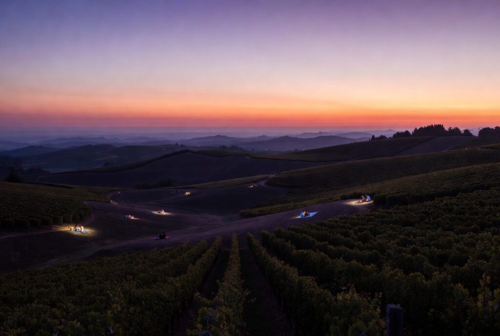 piquenique-vinicola-por-do-sol-1024x687 Piquenique Vinícola: 7 Lugares no Brasil com Cesta e Vista Perfeitas