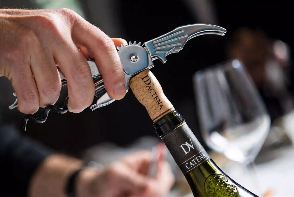 abrindo-vinho-dv-catena-original-1024x687 Vinho DV Catena Custa o Preço? Análise de Safras, Reviews e Segredos de Harmonização