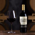 Vinho DV Catena Cabernet-Malbec em destaque com taça de cristal e barricas ao fundo