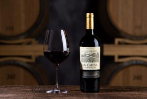 Vinho DV Catena Cabernet-Malbec em destaque com taça de cristal e barricas ao fundo