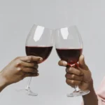 aprenda sobre vinhos guia pratico para escolher rotulos 1774211434