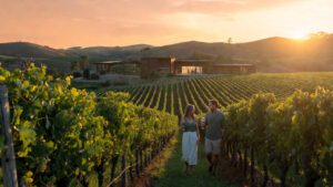 Enoturismo no Brasil