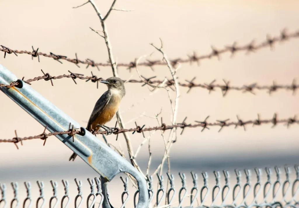 o-que-e-vinho-seco_1773159821-1024x713 Vinhos secos descomplicados: o que é vinho seco e sem medo